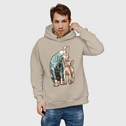 Толстовка оверсайз мужская Кошки сфинксы, цвет: миндальный — фото 2