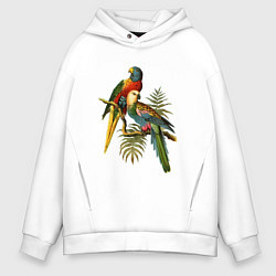 Толстовка оверсайз мужская Тропические попугаи, цвет: белый