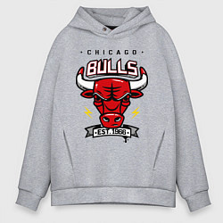 Мужское худи оверсайз Chicago Bulls est. 1966