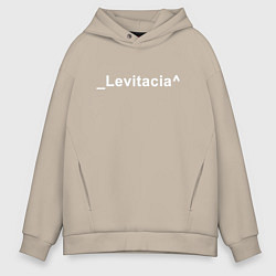 Мужское худи оверсайз Levitacia