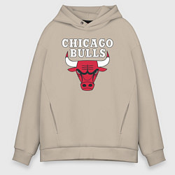 Мужское худи оверсайз CHICAGO BULLS
