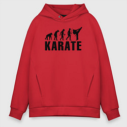 Мужское худи оверсайз Karate Evolution