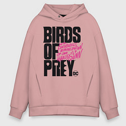 Мужское худи оверсайз Birds of Prey logo