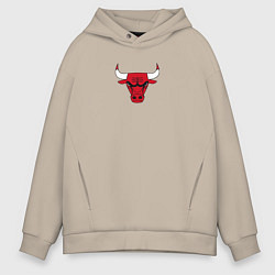 Толстовка оверсайз мужская CHICAGO BULLS, цвет: миндальный