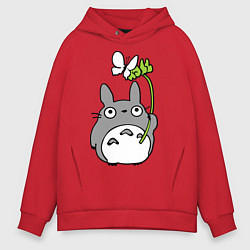 Мужское худи оверсайз Totoro и бабочка