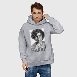 Толстовка оверсайз мужская Harry Styles, цвет: меланж — фото 2