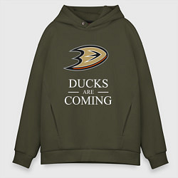 Мужское худи оверсайз Ducks Are Coming, Анахайм Дакс, Anaheim Ducks