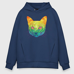 Мужское худи оверсайз Радужный котик rainbow cat
