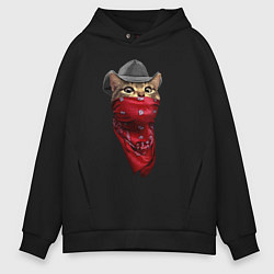 Толстовка оверсайз мужская Cool kitten in a bandana, цвет: черный