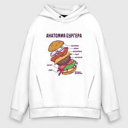 Мужское худи оверсайз Анатомия схема Бургера Burger Scheme Anatomy