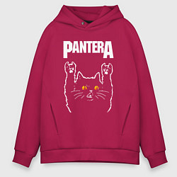 Мужское худи оверсайз Pantera rock cat