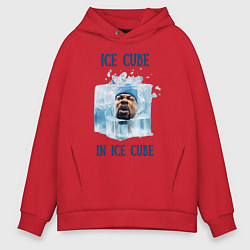 Мужское худи оверсайз Ice Cube in ice cube