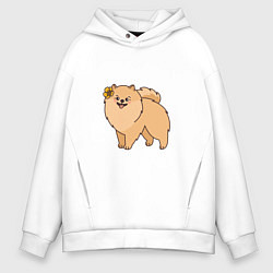 Толстовка оверсайз мужская Милая собачка Шпиц, цвет: белый