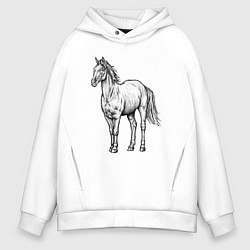 Толстовка оверсайз мужская Лошадь стоит, цвет: белый