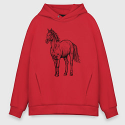 Толстовка оверсайз мужская Лошадь стоит, цвет: красный