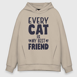 Мужское худи оверсайз Every cat is my best friend
