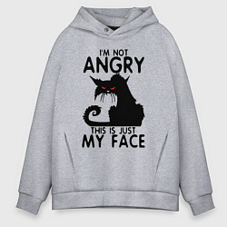 Толстовка оверсайз мужская I am not angry cat, цвет: меланж