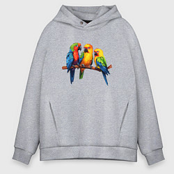 Толстовка оверсайз мужская Разговор попугаев, цвет: меланж