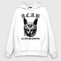 Толстовка оверсайз мужская All cats are beautiful, цвет: белый