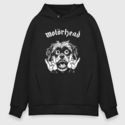 Толстовка оверсайз мужская Motorhead rock dog, цвет: черный