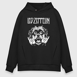 Толстовка оверсайз мужская Led Zeppelin rock dog, цвет: черный