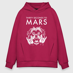 Мужское худи оверсайз Thirty Seconds to Mars rock dog