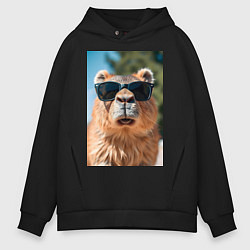 Мужское худи оверсайз Модная капибара в очках