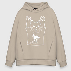 Мужское худи оверсайз Deftones - cat rock