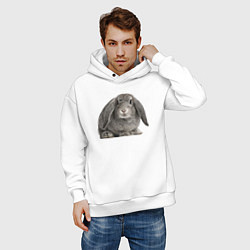 Толстовка оверсайз мужская Серый пушистый кролик, цвет: белый — фото 2