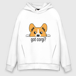 Мужское худи оверсайз Got Corgi