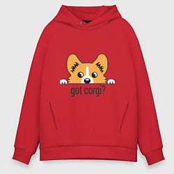 Мужское худи оверсайз Got Corgi