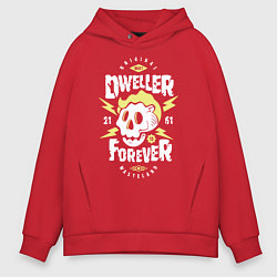 Мужское худи оверсайз Dweller Forever