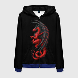 Толстовка 3D на молнии мужская Red Dragon, цвет: 3D-синий