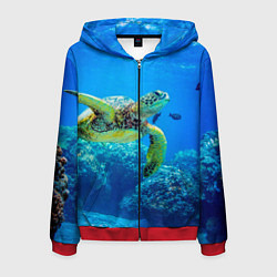 Толстовка 3D на молнии мужская Морская черепаха, цвет: 3D-красный