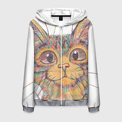 Мужская толстовка на молнии A 018 Цветной кот