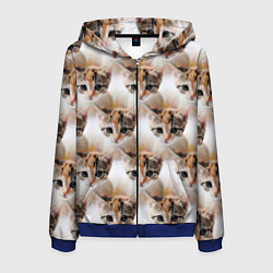 Толстовка 3D на молнии мужская Маленький котенок паттерн, цвет: 3D-синий