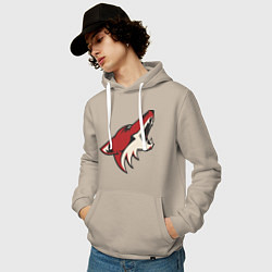 Толстовка-худи хлопковая мужская Phoenix Coyotes, цвет: миндальный — фото 2
