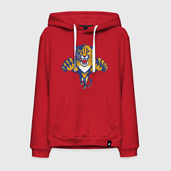 Мужская толстовка-худи Florida Panthers