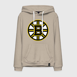 Мужская толстовка-худи Boston Bruins