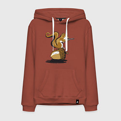 Мужская толстовка-худи Белка с орехом