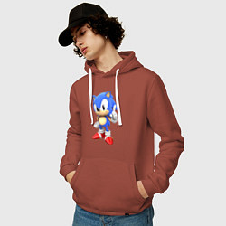 Толстовка-худи хлопковая мужская Classic Sonic, цвет: кирпичный — фото 2