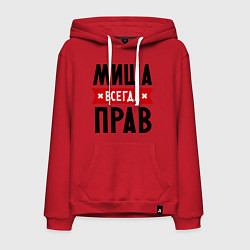 Мужская толстовка-худи Миша всегда прав