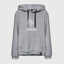 Мужская толстовка-худи Amatory Style