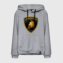 Мужская толстовка-худи Lamborghini logo