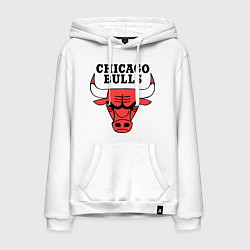 Мужская толстовка-худи Chicago Bulls
