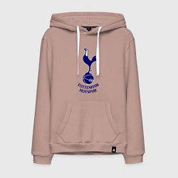 Мужская толстовка-худи Tottenham FC