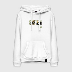 Мужская толстовка-худи System of a Down