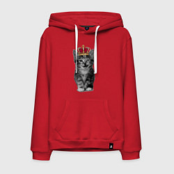 Мужская толстовка-худи Meow kitten