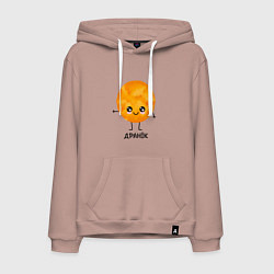 Мужская толстовка-худи Драник