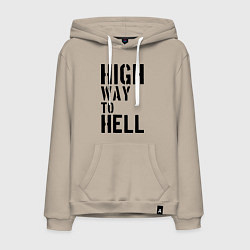 Мужская толстовка-худи High way to hell